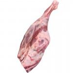 PIERNA DE CORDERO RECENTAL